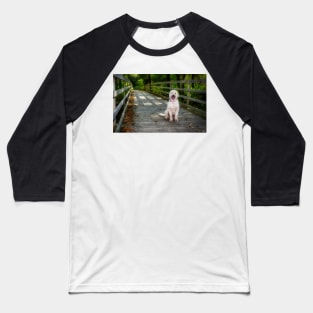 Happy Dog On The Trail 1 Baseball T-Shirt